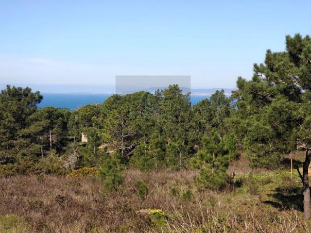 Terreno venda em Sesimbra (Castelo), Sesimbra