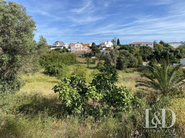 Terreno venda em Lagoa