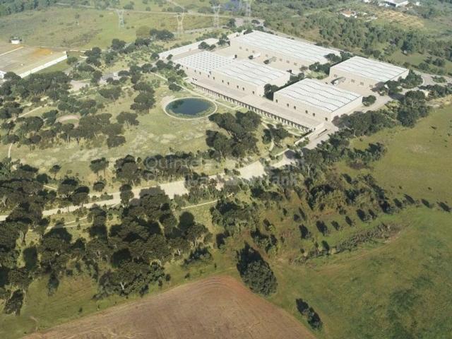 Terreno venda em Vale de Cobro, Setúbal