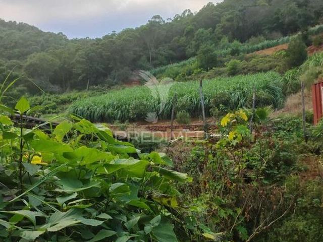 Terreno venda em Machico, Ilha Da Madeira