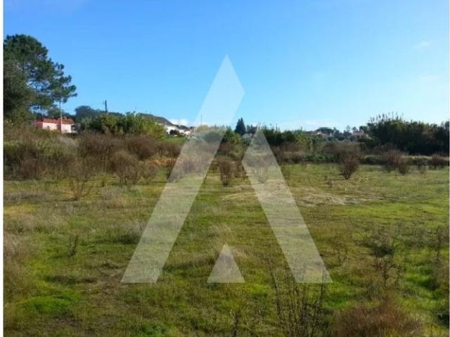 Terreno venda em Machados, Leiria