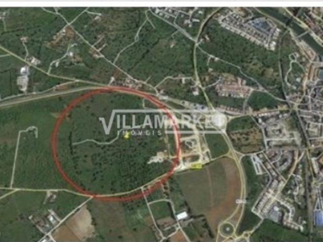 Terreno venda em Tavira, Faro