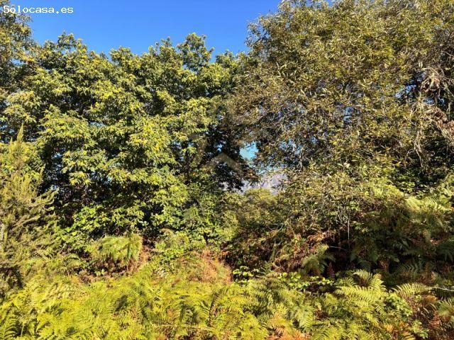 Local Comercial en venta en La orotava, El Ratiño