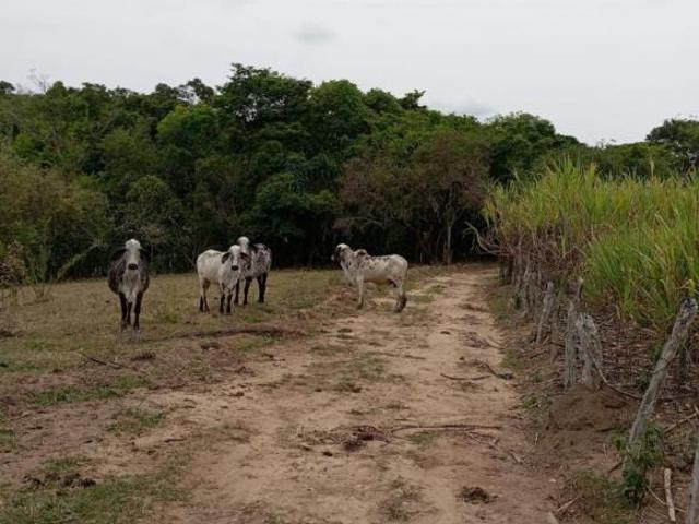 Terreno venda em Região Geográfica Imediata de Oliveira, Região Metropolitana de Belo Horizonte