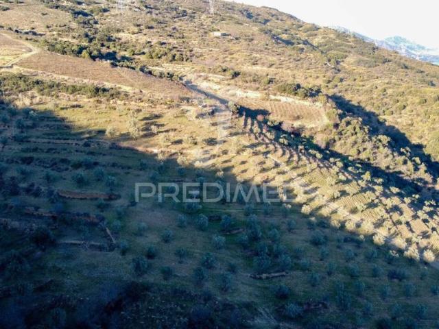 Terreno venda em Guarda, Mós
