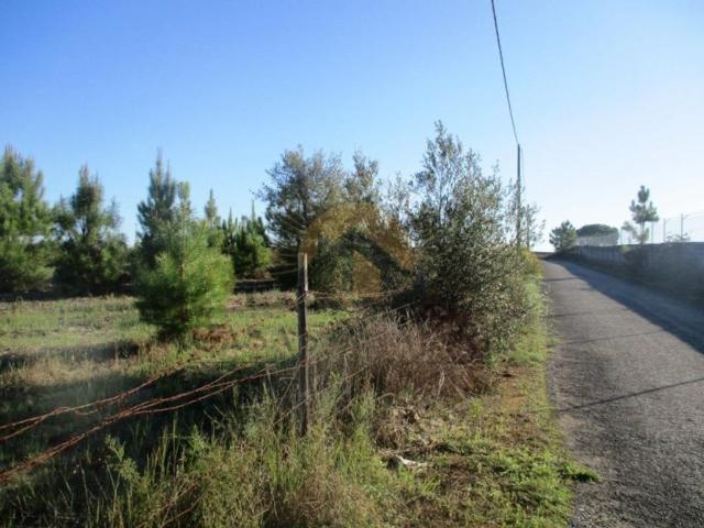 Terreno alugar em Vendas Novas, Évora