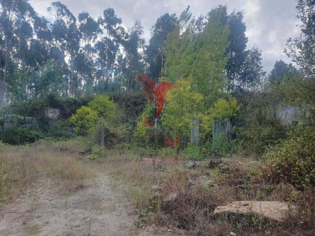Terreno venda em Fafe, Braga