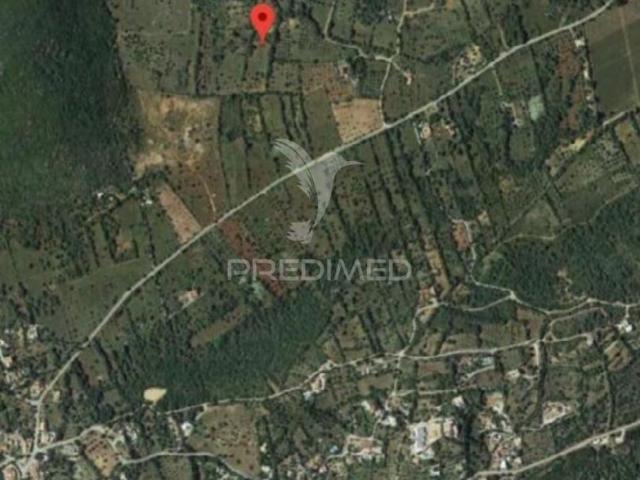 Terreno venda em São Brás De Alportel, Faro