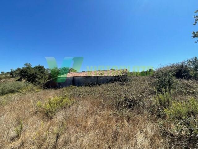 Terreno venda em São Teotónio, Odemira