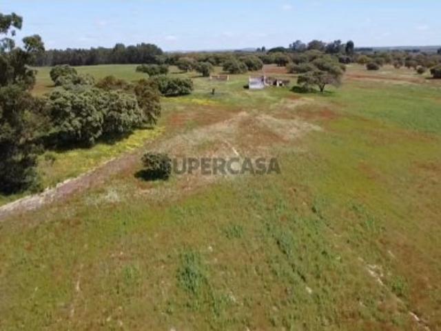 Terreno venda em Ferreira Do Alentejo, Beja