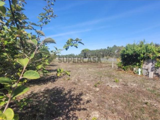 Terreno venda em Alhadas de Cima, Figueira Da Foz