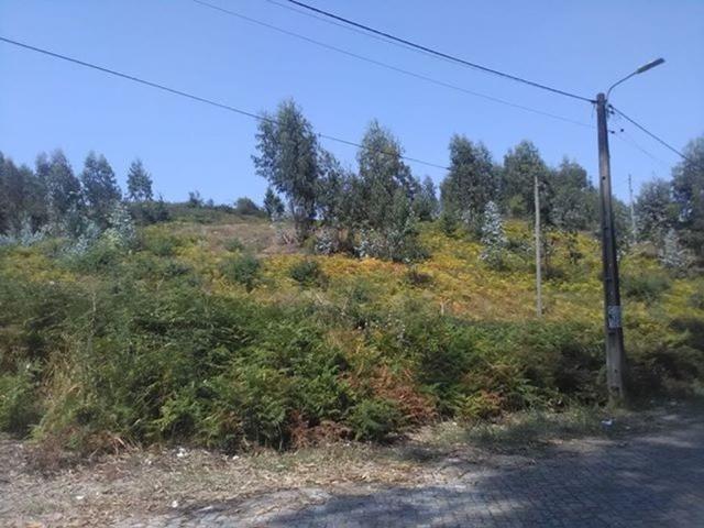 Terreno venda em Freamunde, Porto