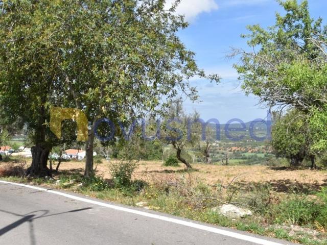 Terreno venda em Casa Dos Pires, Albufeira