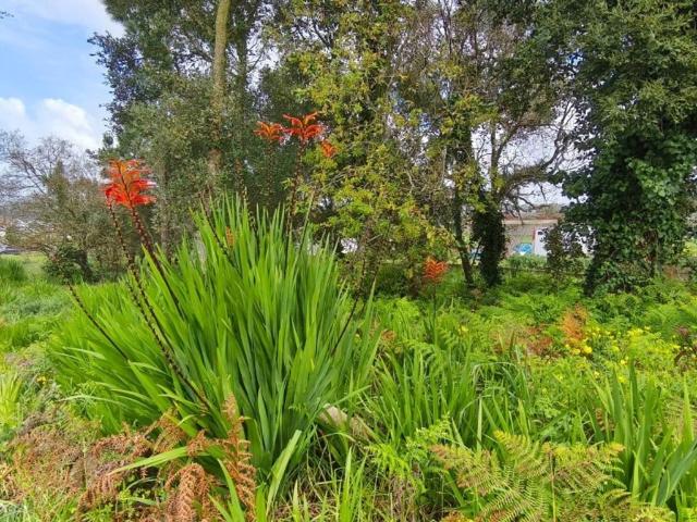 Terreno venda em Casal das Forcadas, Mafra