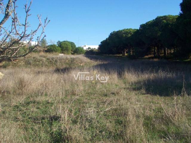 Terreno venda em Alto do Calhau, Faro
