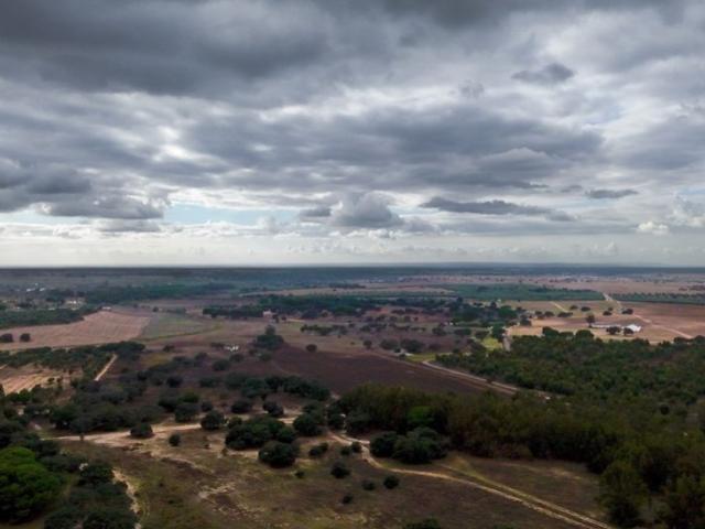 Terreno venda em Ferreira Do Alentejo, Beja
