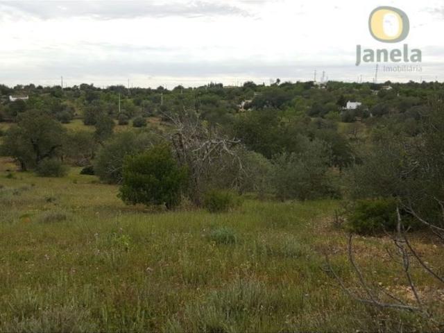 Terreno venda em Tavira (Santa Maria e Santiago), Tavira