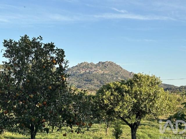 Terreno venda em Castelo Branco, Idanha-a-nova