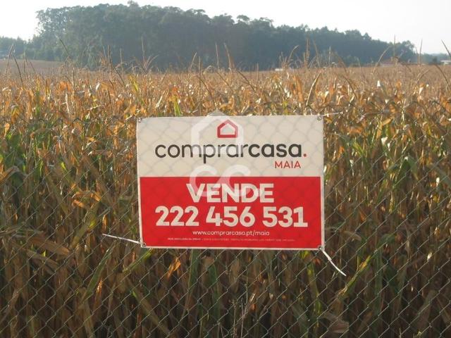 Terreno venda em Maia, Vila Nova Da Telha