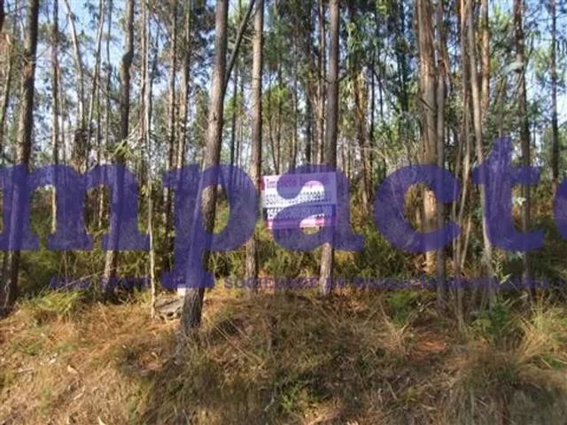 Terreno venda em Santa Maria Da Feira, Aveiro