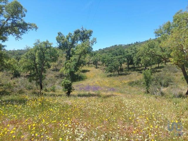 Terreno venda em Melides
