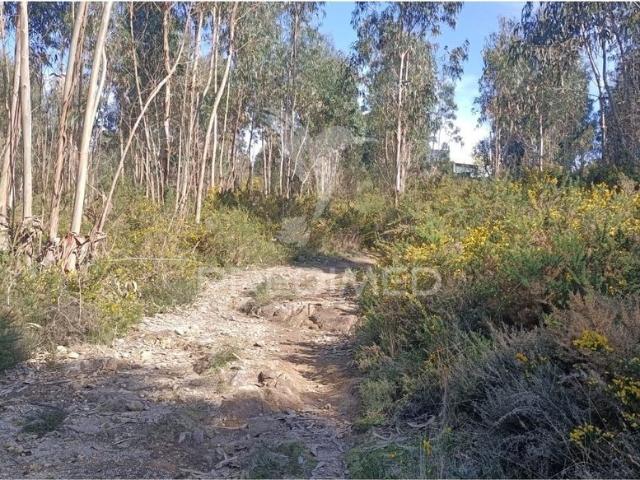Terreno venda em Maia, Porto