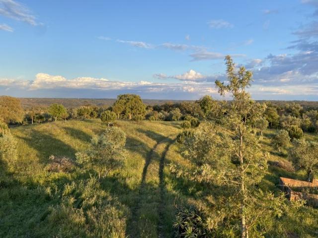 Terreno venda em Grândola, Setúbal