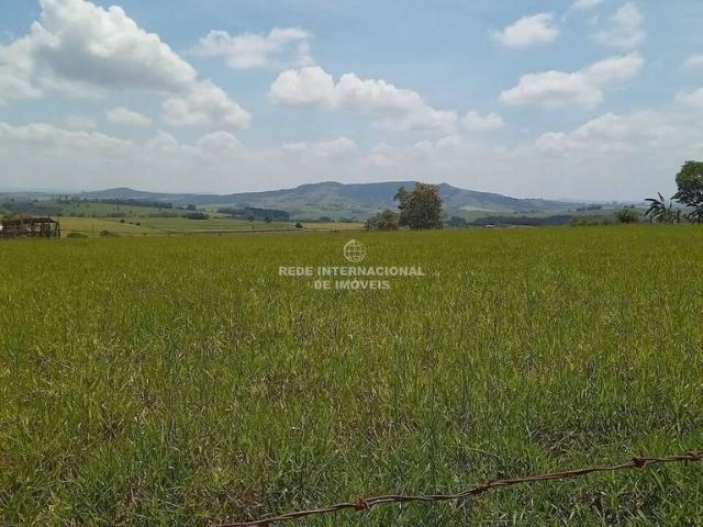 Terreno venda em Região Imediata de Itapeva, Barão de Antonina