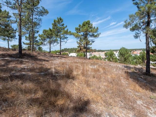 Terreno venda em Grândola, Setúbal
