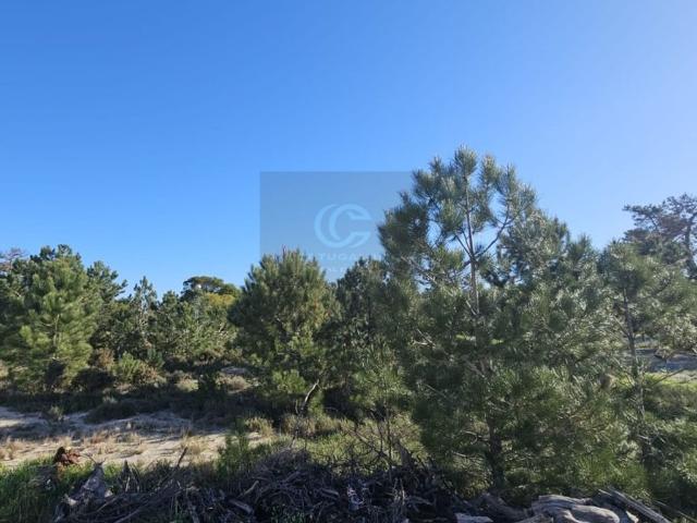 Terreno venda em Alcácer Do Sal, Setúbal