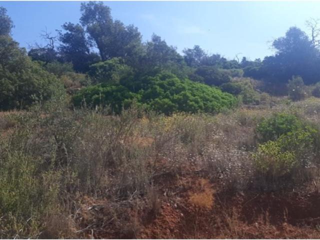 Terreno venda em Palmeiral, Loulé