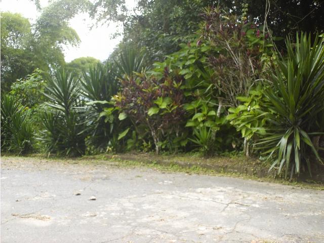 Terreno en venta en Boca De Uchire, Miranda