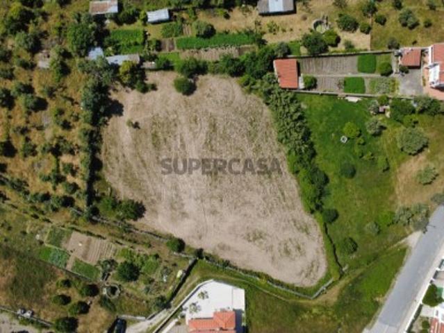 Terreno venda em Castelo Branco
