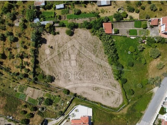 Terreno venda em Castelo Branco