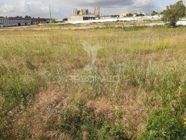 Terreno venda em Cartaxo, Santarém