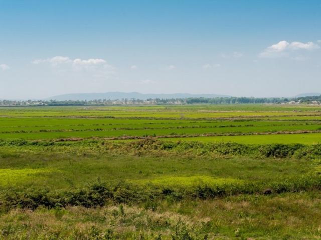 Terreno venda em Lagoas Travessa e Formosa, Grândola