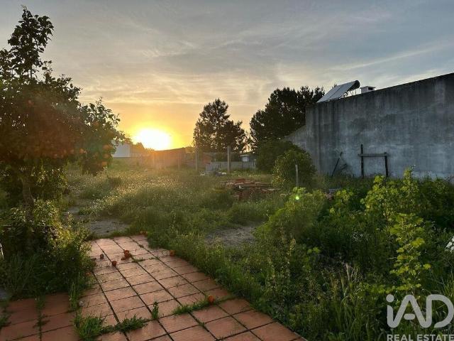 Terreno venda em Palmela, Setúbal