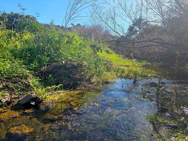 Terreno venda em Monchique, Faro