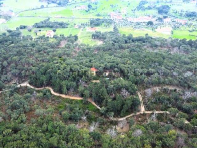 Terreno venda em Portalegre