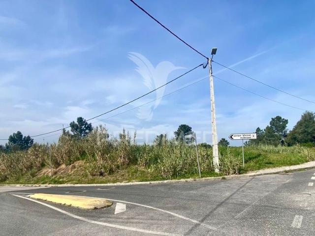 Terreno venda em Azambuja, Lisboa