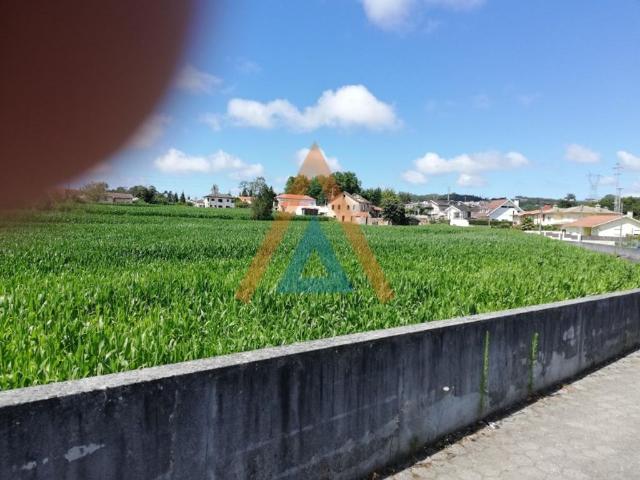 Terreno venda em Santa Maria Da Feira, Aveiro