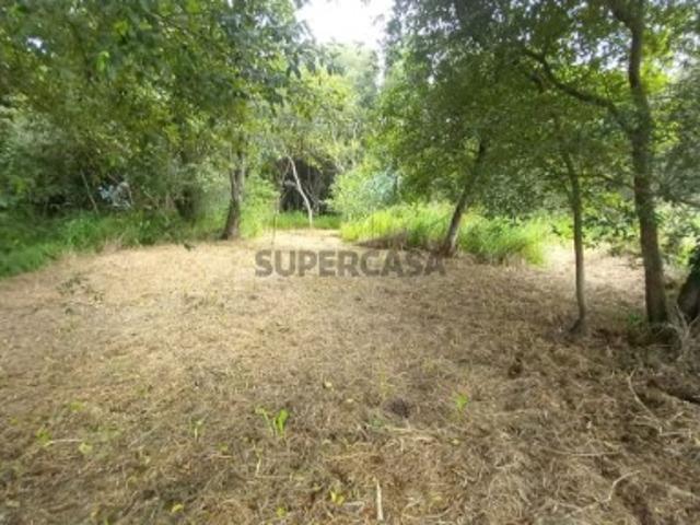 Terreno venda em Murtosa Albergaria, Murtosa
