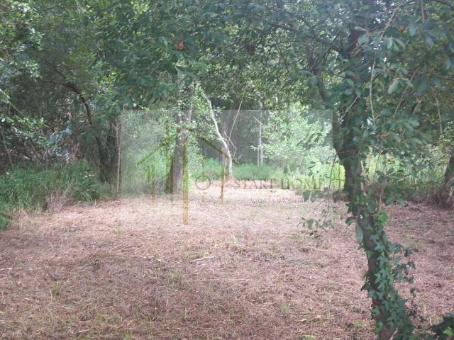 Terreno venda em Murtosa Albergaria, Murtosa