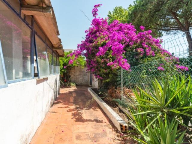 Terreno venda em Capuchos, Almada
