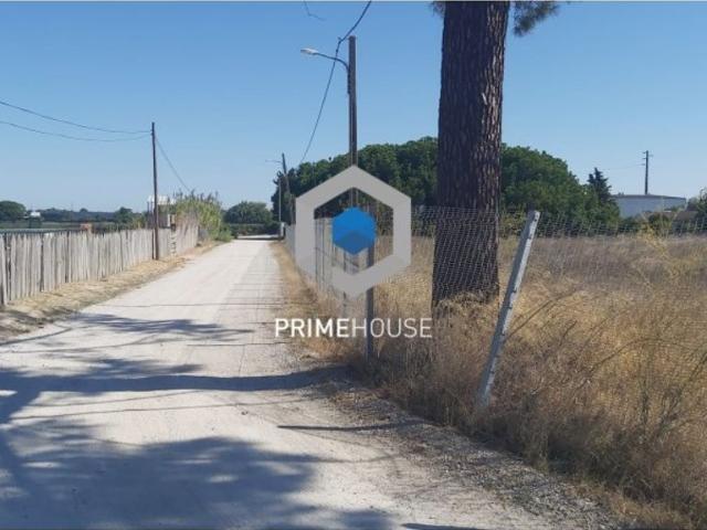 Terreno venda em Palmela, Setúbal