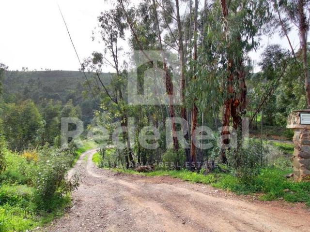 Terreno venda em Silves, Faro