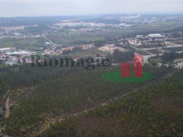 Terreno venda em Vale de Óbidos, Rio Maior