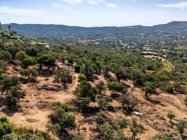 Terreno venda em Betunes, Loulé