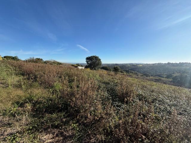 Terreno venda em Óbidos, Leiria