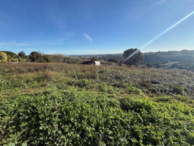 Terreno venda em Óbidos, Leiria